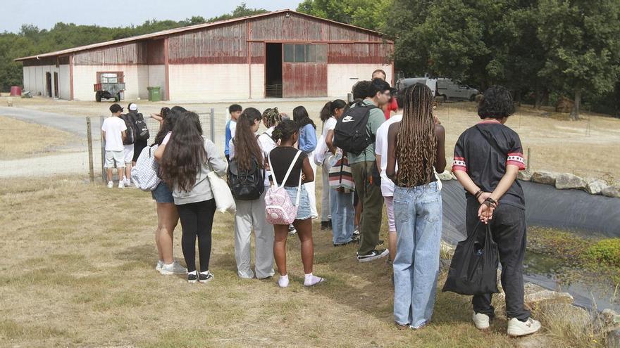 El Ecoespazo O Rexo de Allariz recibe a varios participantes del campamento de verano de la Fundación Juan Soñador