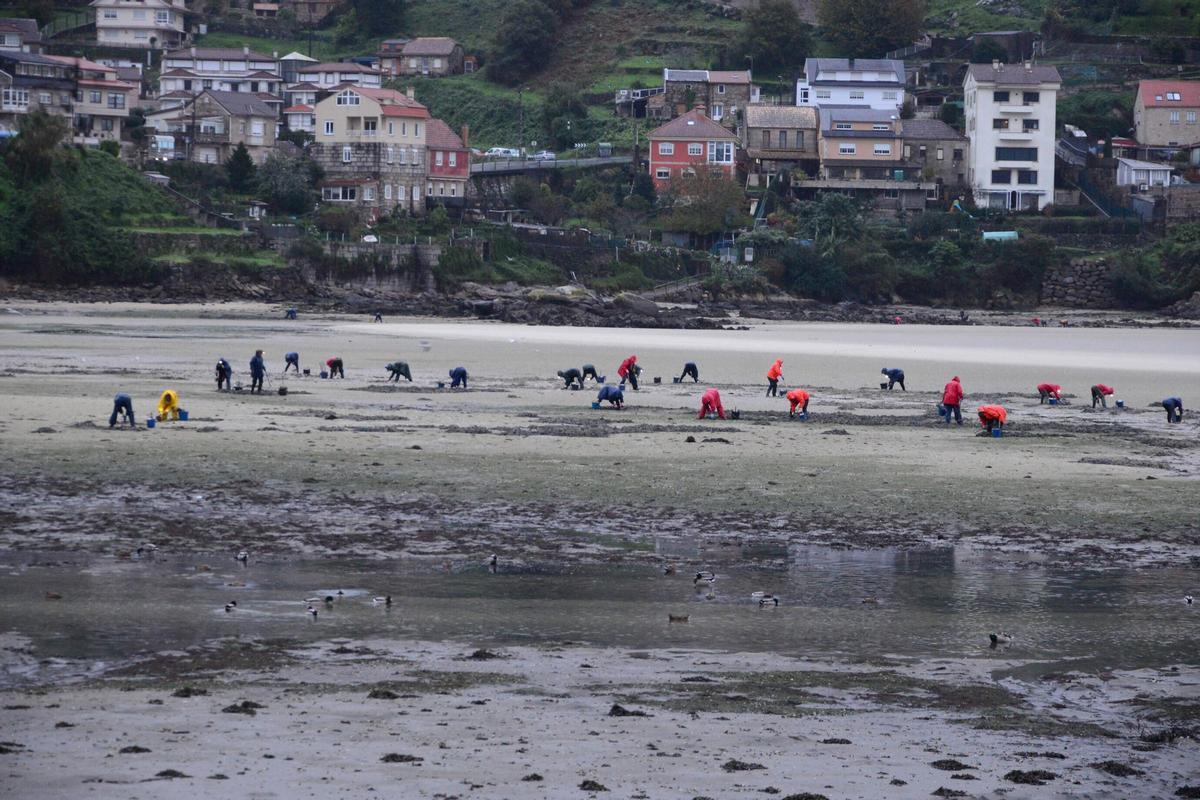 Una vista del litoral de la parroquia de Meira, con las mariscadoras en primer plano.