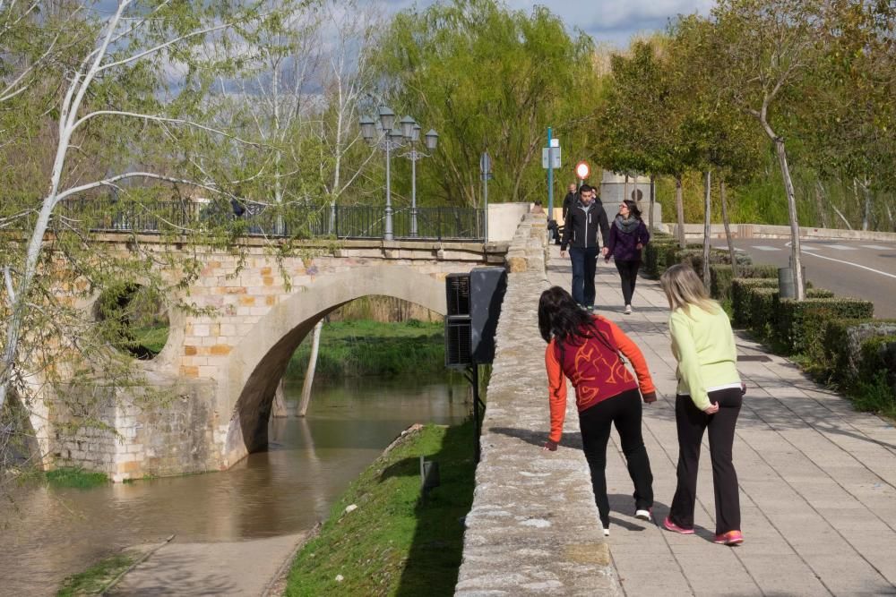 Crecida del río Duero