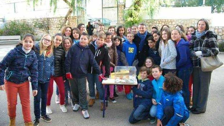 Mercat solidari escolar a Xàbia