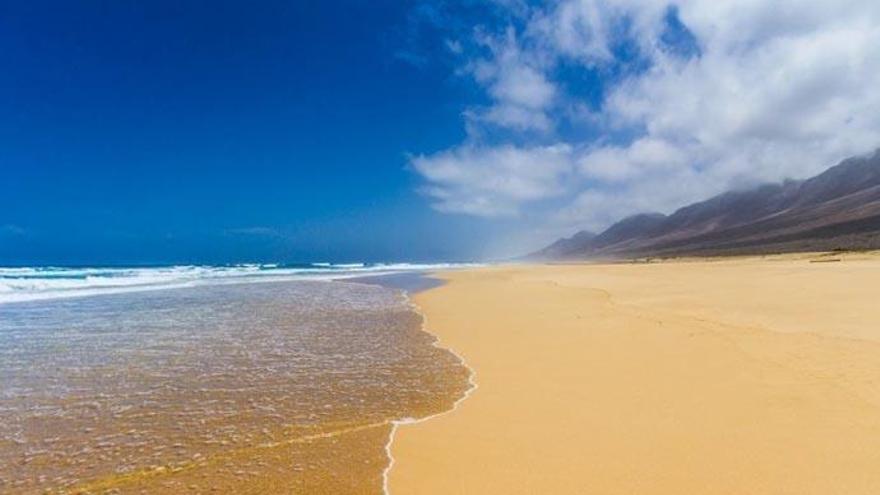 Aparece muerto un cetáceo en una playa de Fuerteventura