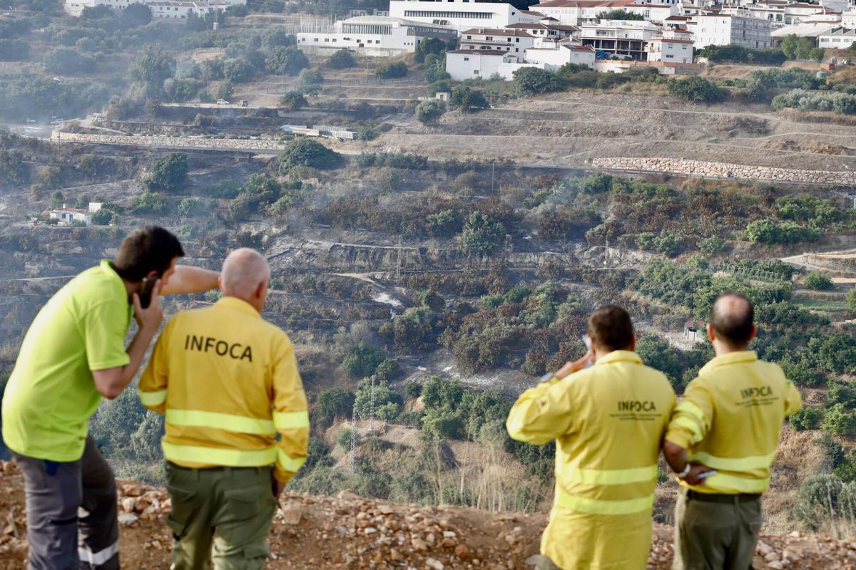 El Infoca lucha contra el incendio forestal declarado este viernes a mediodía en el término municipal de Árchez y que ha obligado a desalojar viviendas de diseminados de Árchez y Cómpeta. En este último municipio se ha instalado el puesto de mando para coordinar las labores de extinción, en la que participan una docena de medios aéreos y casi 150 bomberos forestales.