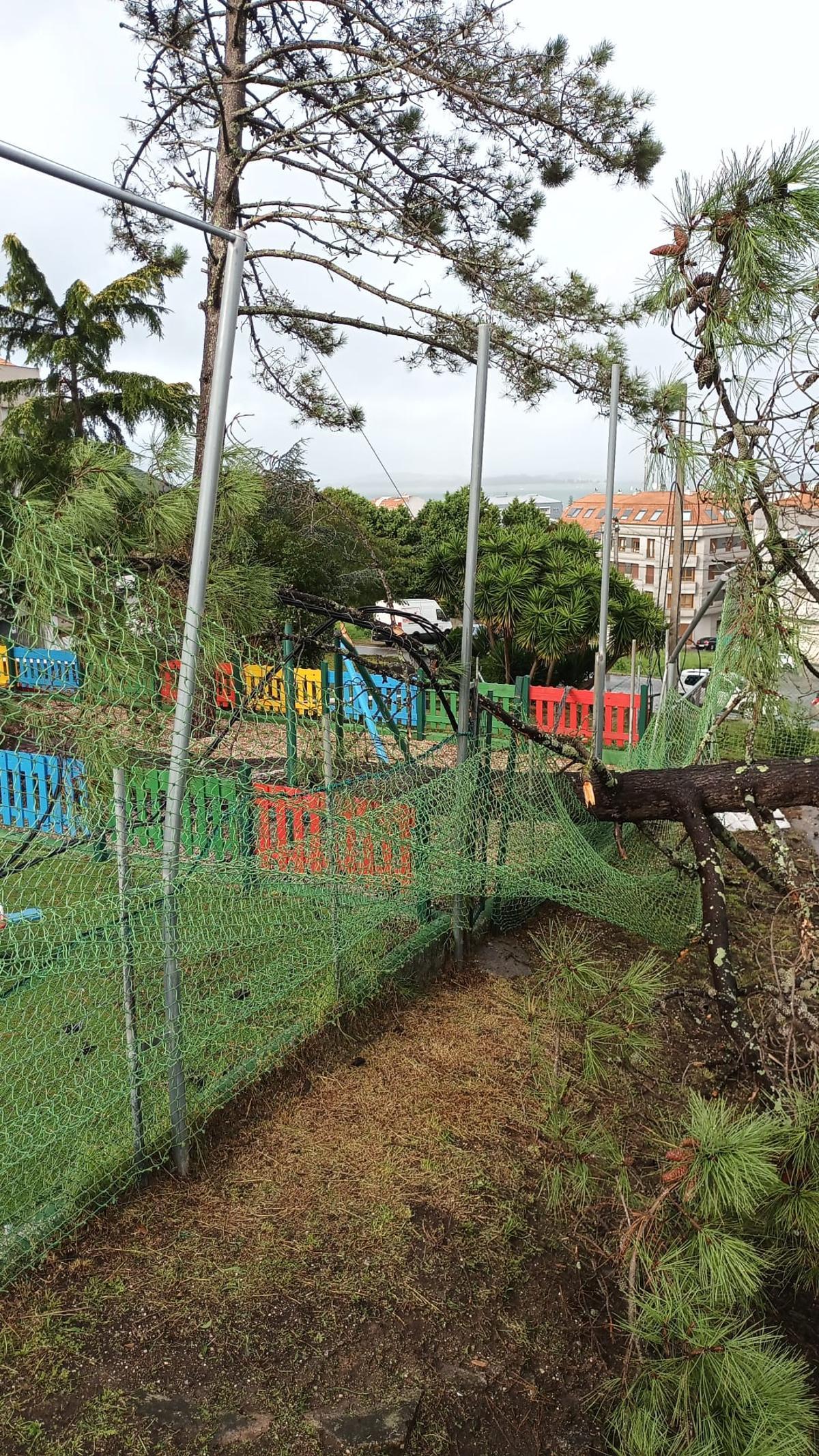 Un árbol desplomado sobre un parque infantil en O Sineiro (O Grove).
