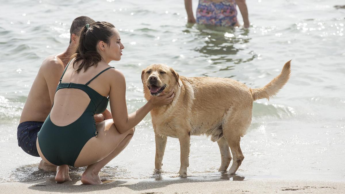 Playa de perros de Aguamarga en una imagen del pasado verano