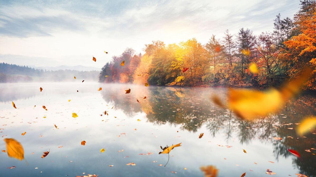 ¿Dónde están los mejores paisajes de otoño en España? Esta es nuestra selección