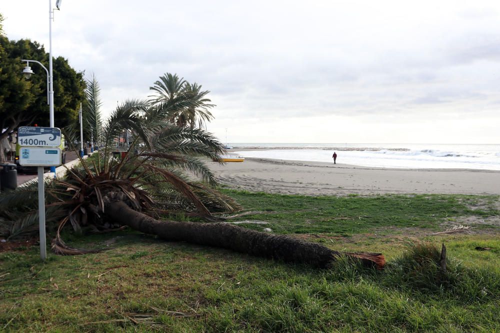 La Aemet ha activado para toda la provincia el aviso por fuertes vientos, que podrán alcanzar los 80km/h, y oleaje durante este miércoles por los efectos de la borrasca Bruno.