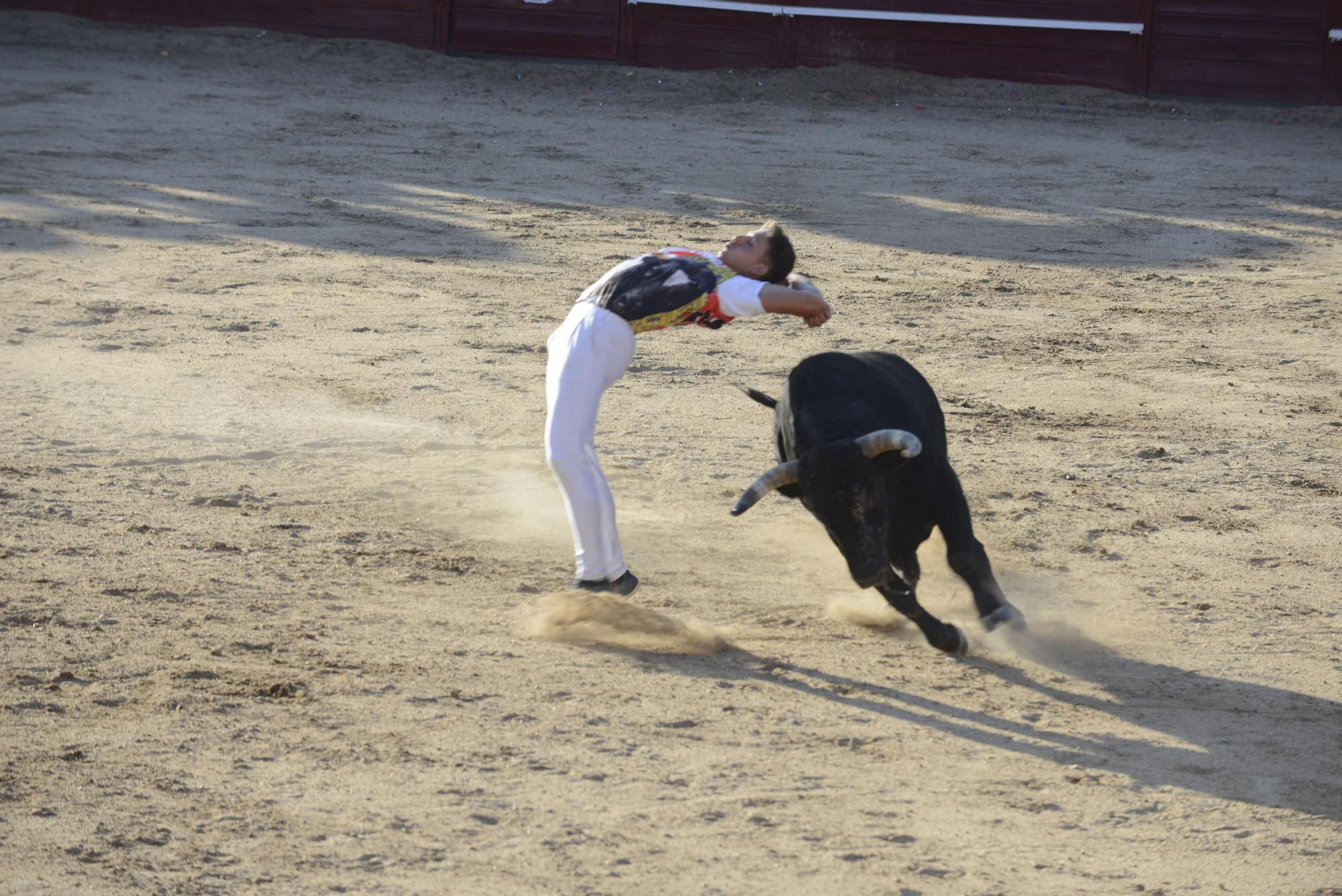 GALERÍA | Unos cuantos cortes de los arriesgados en Benavente