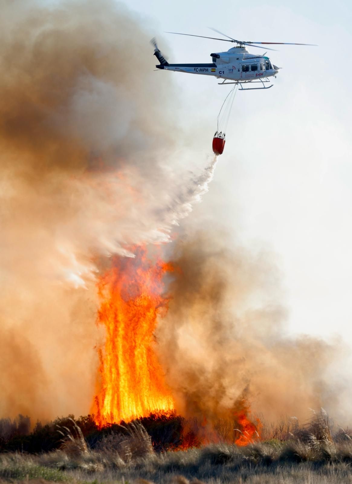 Declarado un incendio en el Saler