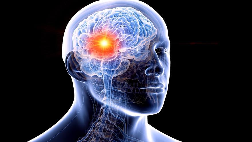 Neurorrehabilitación: La nueva palabra clave para la calidad de vida en los tumores cerebrales