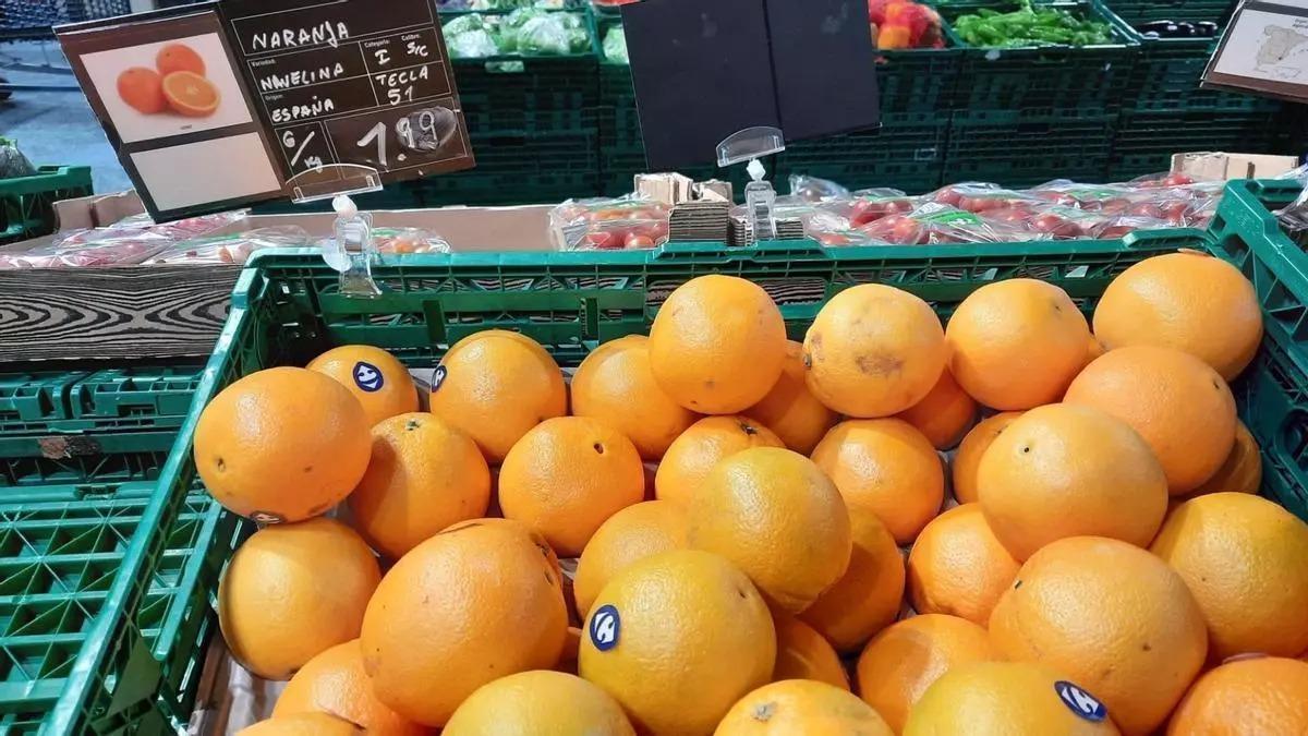 Preocupación en el sector agrario regional por las naranjas egipcias con productos fitosanitarios prohibidos.