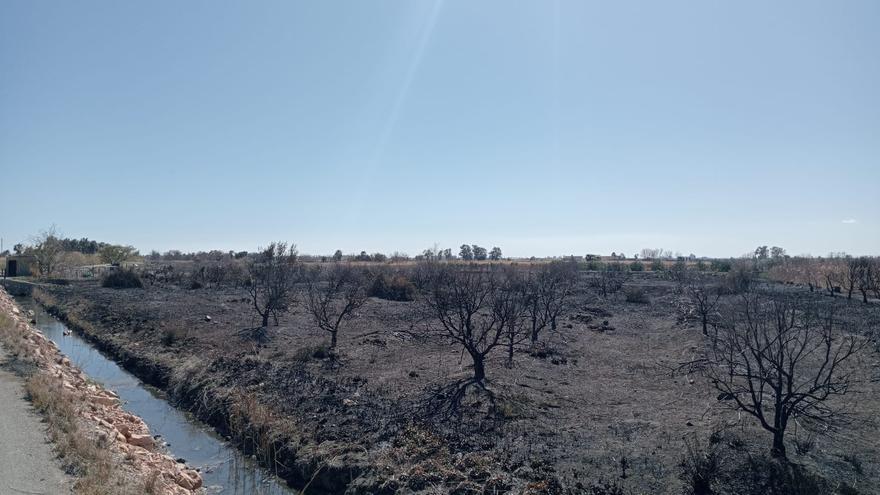 Galería: Incendio de vegetación en Onda