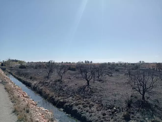 Galería: Incendio de vegetación en Onda