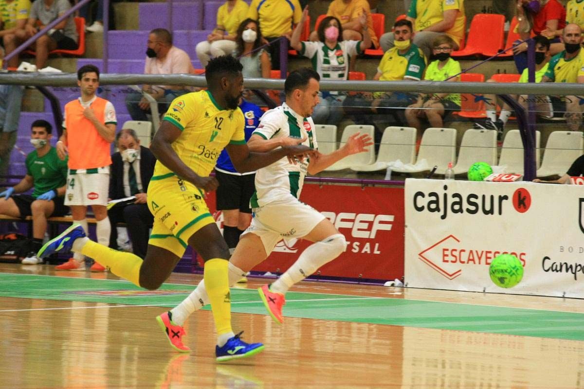 El Córdoba Futsal es de Primera: la pasión al poder