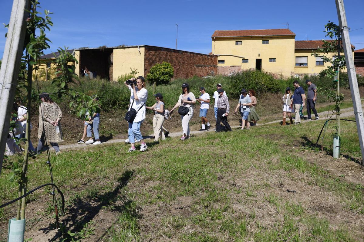 EN IMÁGENES: La Finca Gallinal abres sus puertas al "sidroturismos": una pumarada de 40 hectáreas y 20.000 manzanos
