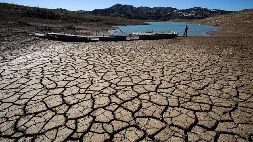 El impacto climático del suelo y la dieta mundial, en cinco claves