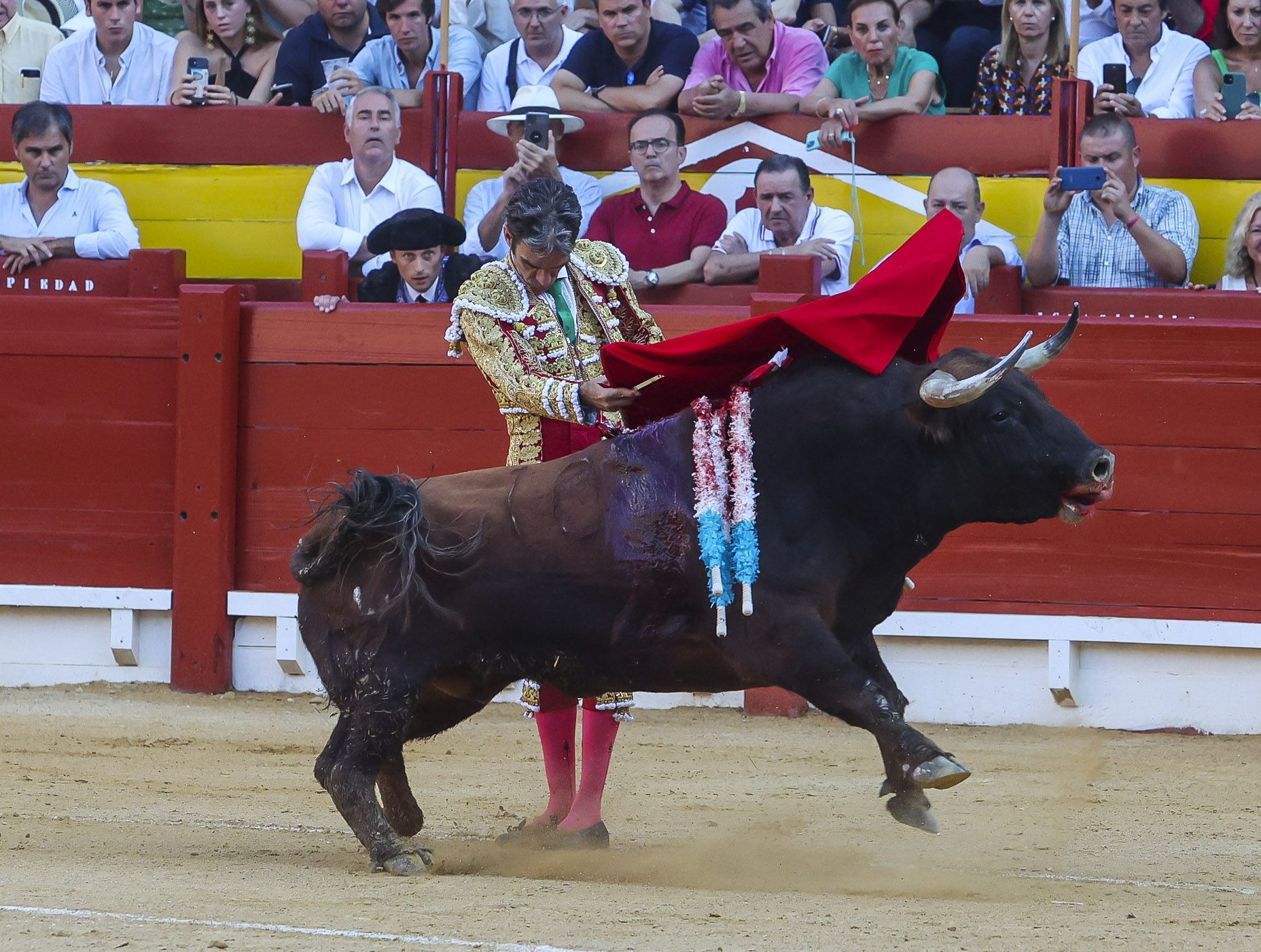 El gran José Tomás revoluciona la plaza de toros de Alicante