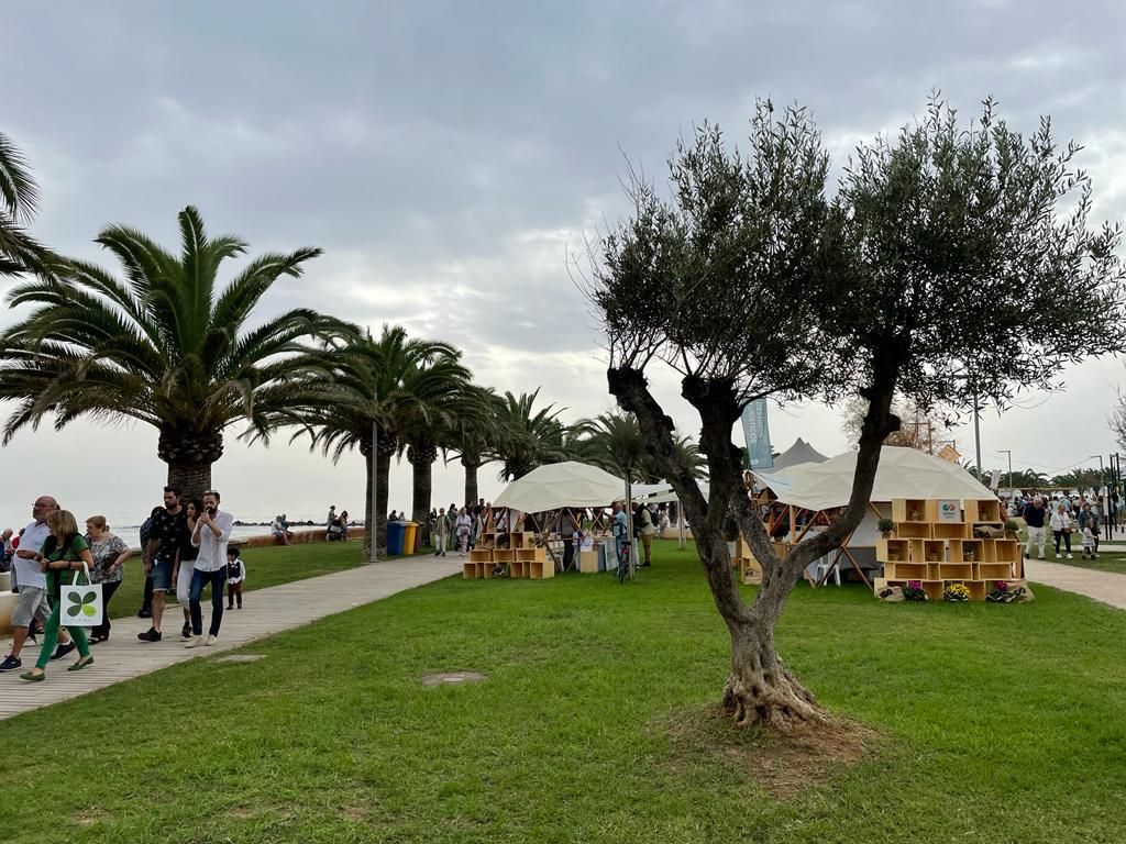 La última jornada del Festival Gastronómico de Benicarló, en imágenes