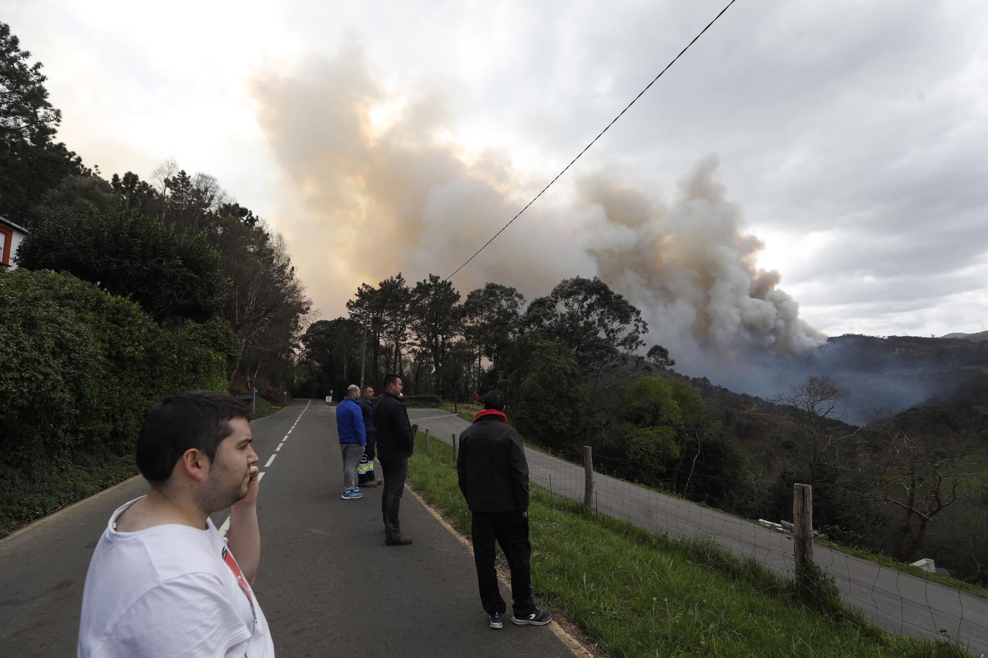 EN IMÁGENES: Gran oleada de incendios en Asturias