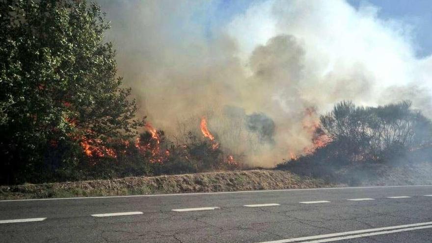 Aspecto del fuego en la A-52 en Abavides (Trasmiras) con la autovía ya cortada // Brif Laza