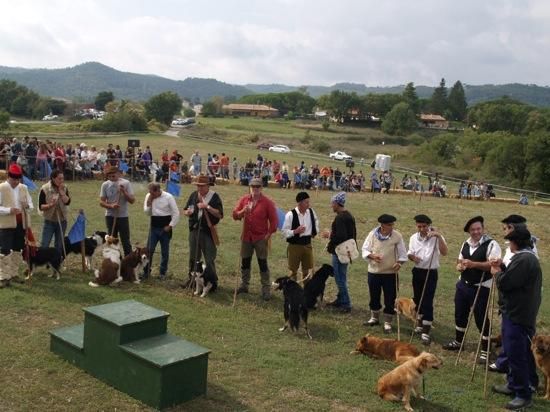 Concurs de gossos d''atura de Castellterçol