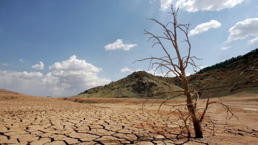 Previsión del tiempo en Valencia: la ola de calor agrava la sequía