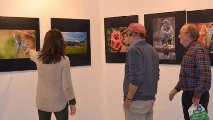 Tres visitantes, en la exposición de la Casa de Cultura de Colunga. p. m.