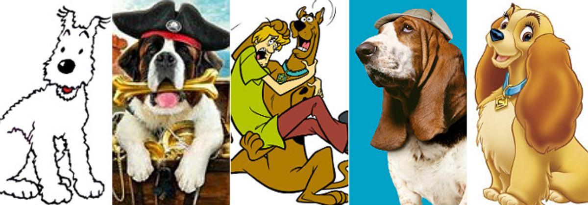 comboperros comboperros