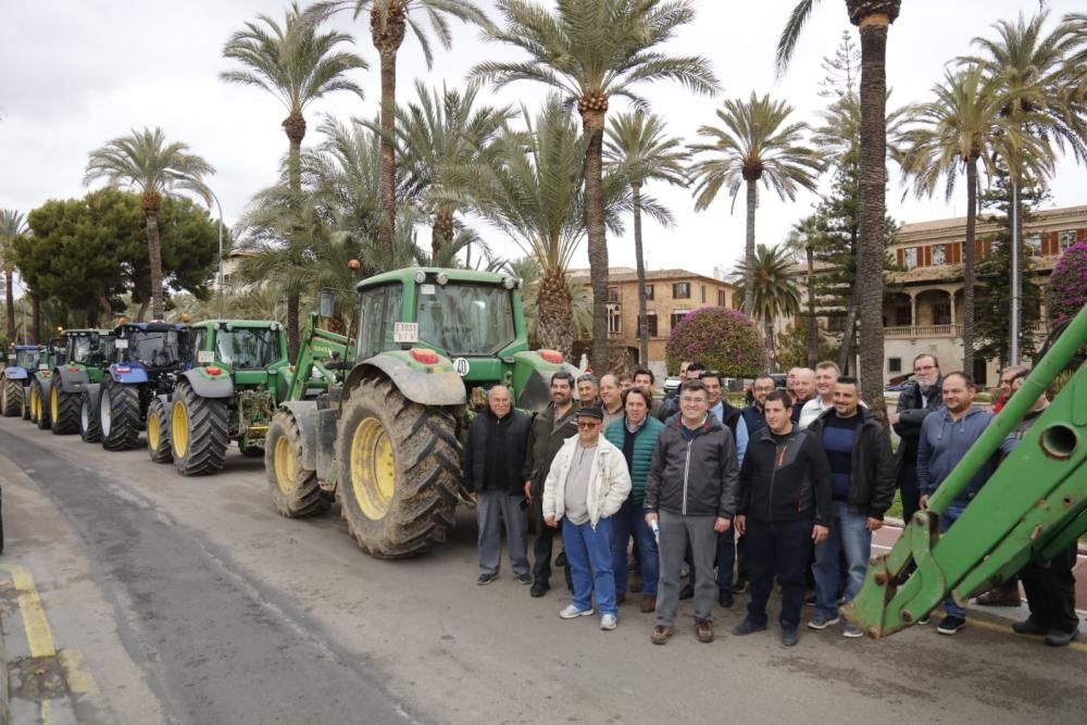 Tractorada sorpresa de los agricultores de Mallorca contra el Govern Armengol