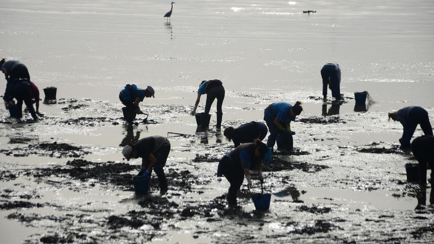 Pontevedra tiene por primera vez menos de 2.000 mariscadoras: “La gente desiste”