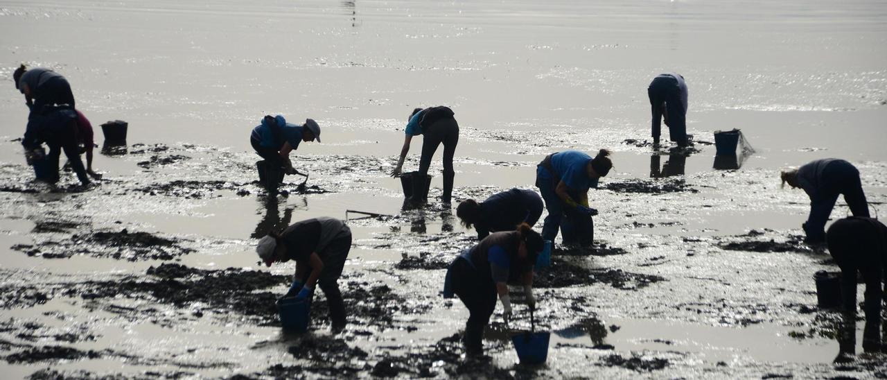 Mariscadoras trabajando en un arenal de Moaña
