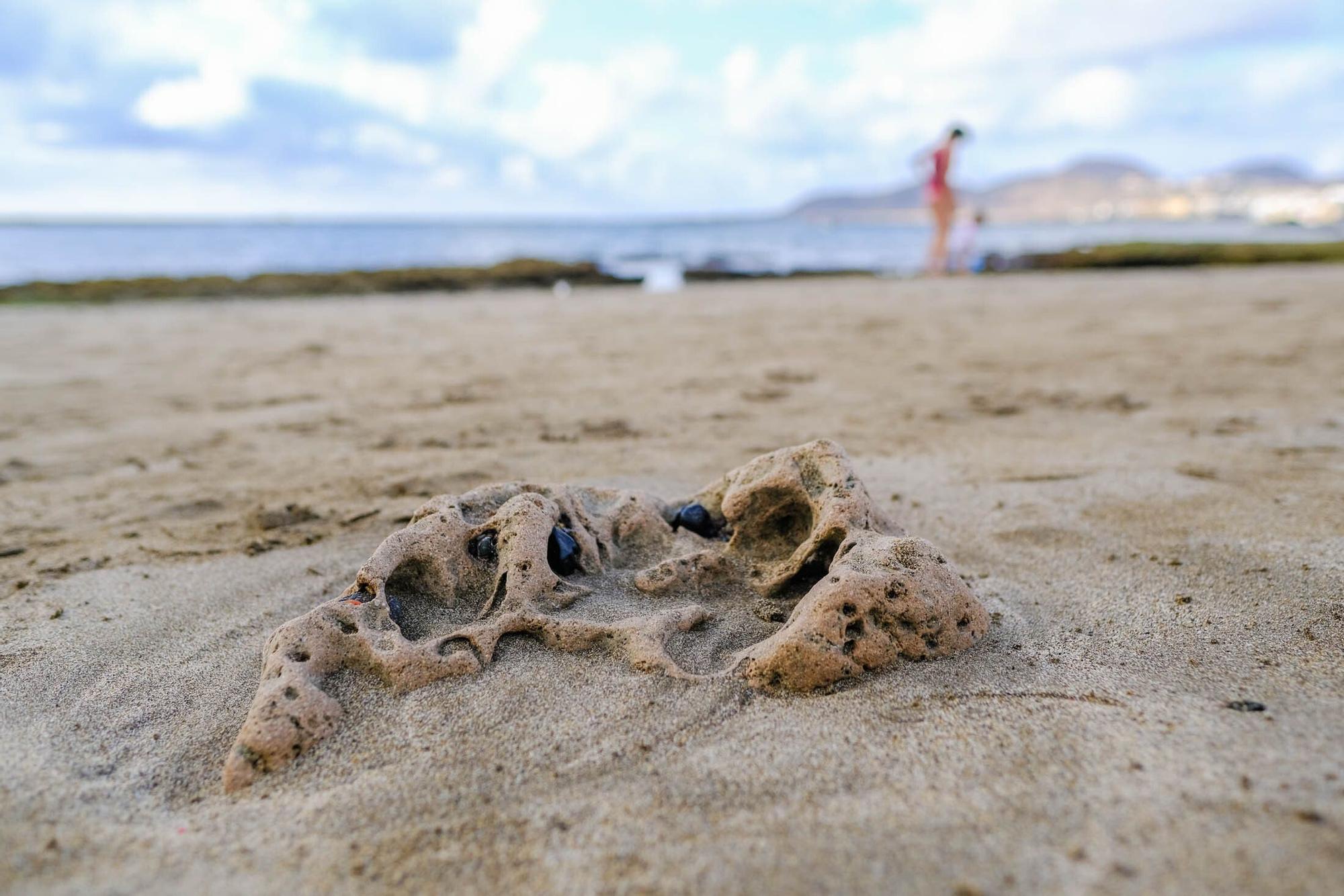 Playas fósiles de Las Canteras