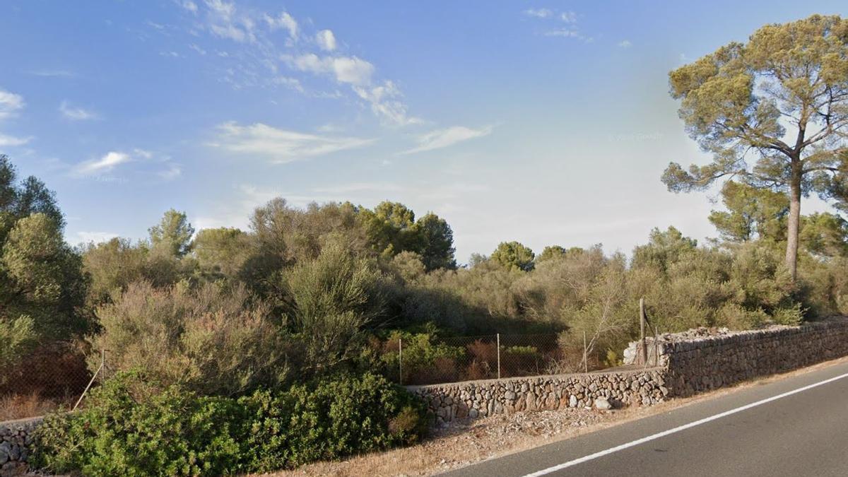 Imagen de parte de la finca donde se proyecta el parque solar de Sencelles.
