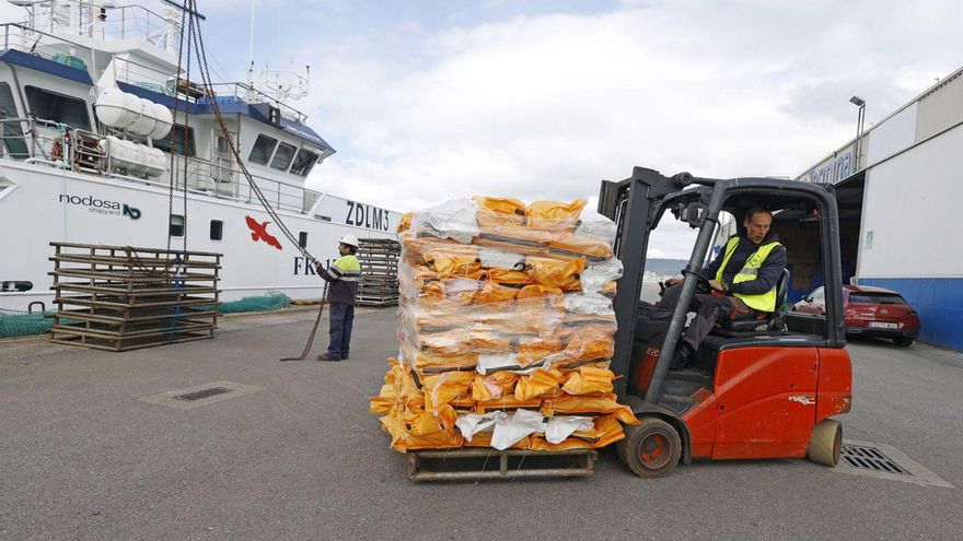Comienza la descarga de pesca congelada de las Malvinas: 3.000 toneladas en la primera semana