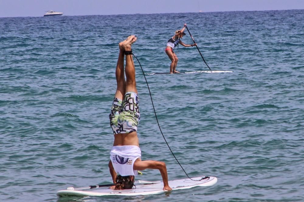 Por mar, de pie, y a remo en Torrevieja