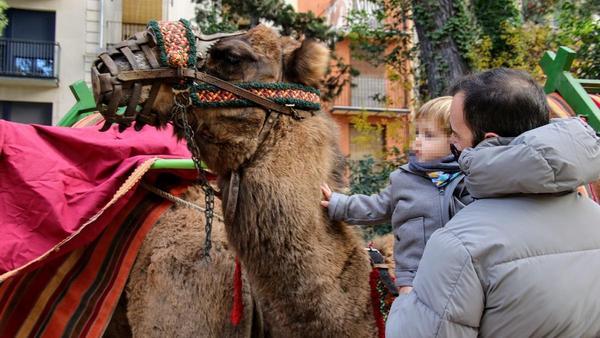 Alcoy celebra su Mercat del Nadal con restricciones