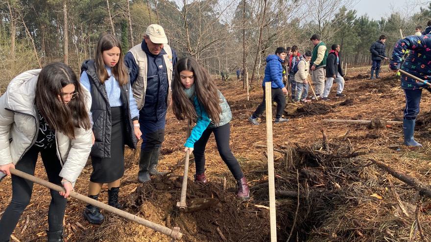 Escolares de Caldas plantan 500 árboles por el Día Forestal Mundial