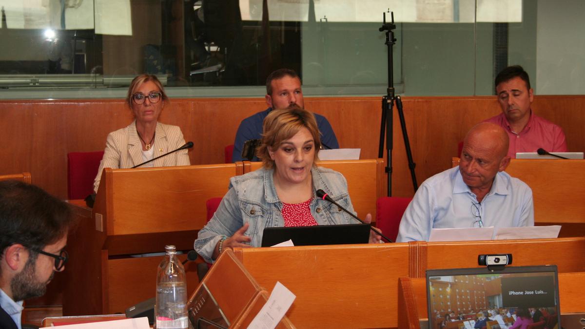 La edil de Izquierda Unida-Verdes, Gloria Martín, durante su intervención en el Pleno y, tras ella, la edil de Vox, María del Carmen Menduiña, este miércoles.