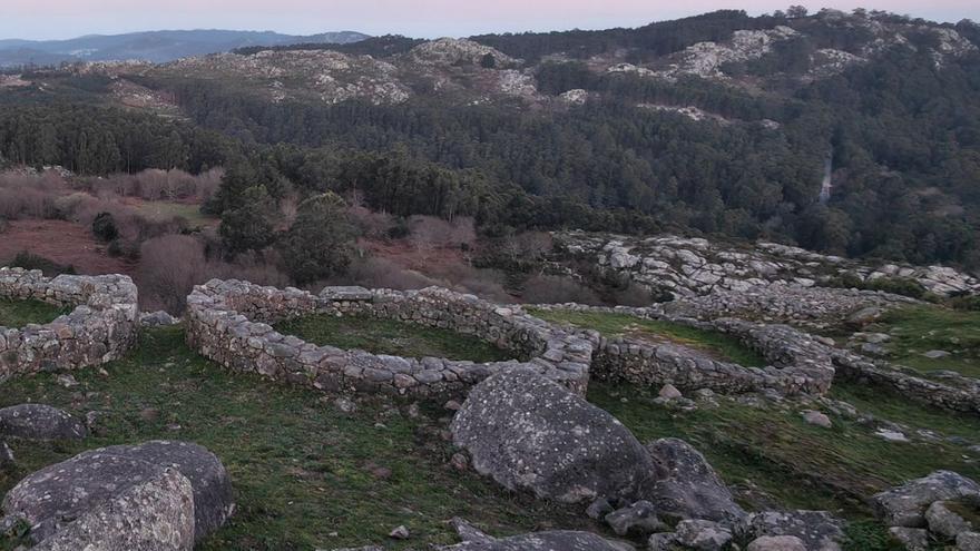 El yacimiento de O Facho recibe limpio de maleza a los visitantes invernales gracias a las cabras de los comuneros