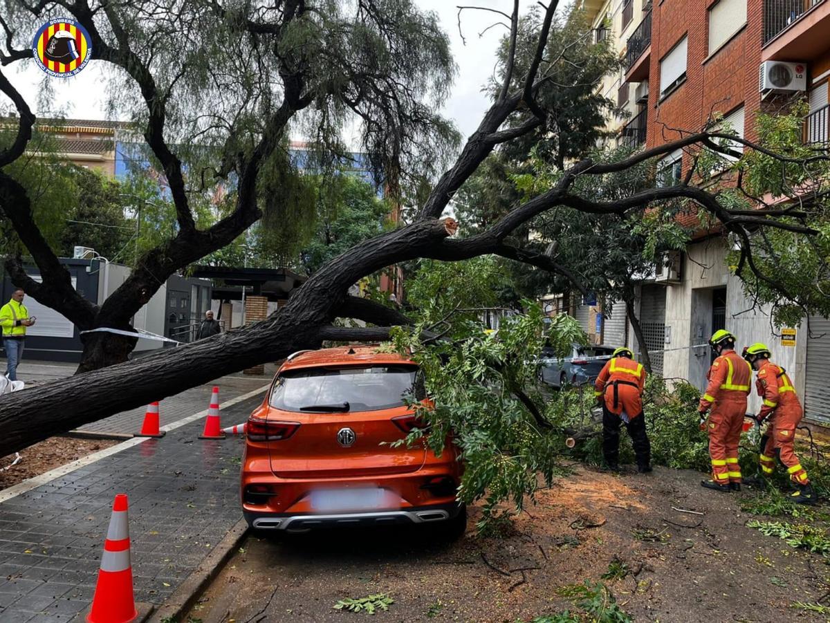 Un árbol caído como consecuencia de Alice daña un vehículo en Picanya.