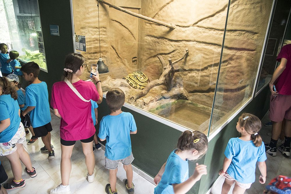 Un grup escolar fa una visita al Centre de Rehabilitació d&#039;Amfibis i Rèptils de Catalunya (CRARC)