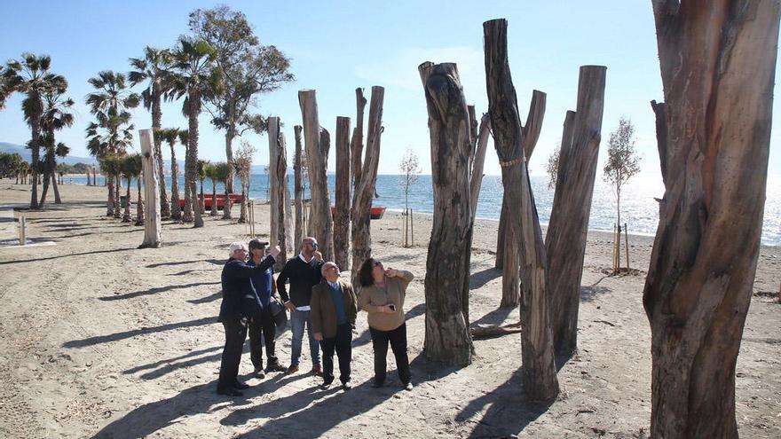 Tallan los eucaliptos de la playa de La Salida