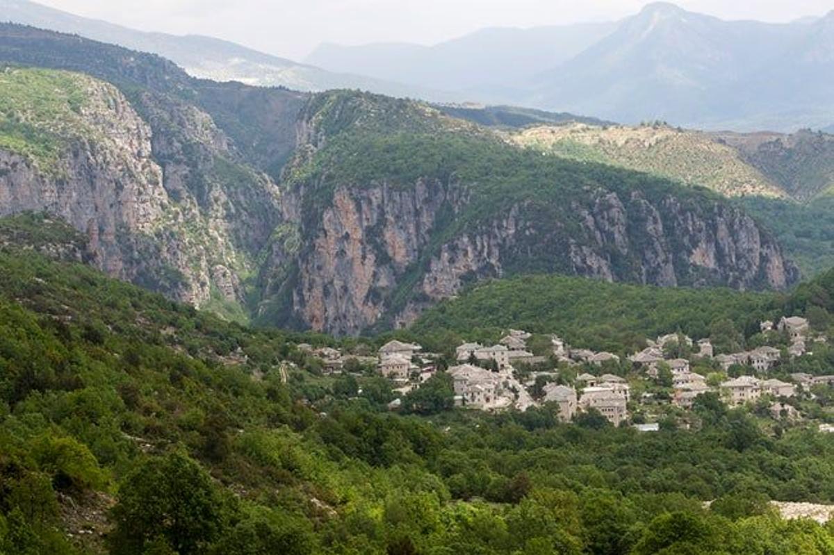 Monodendri