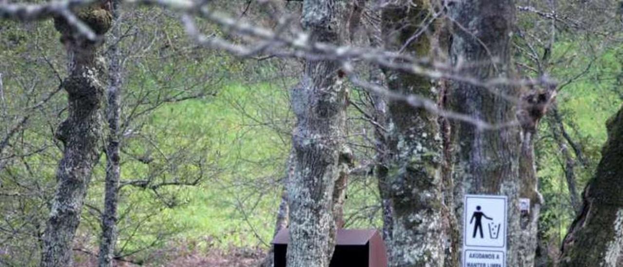 Un mimado marco natural para el ocio y el baño en el curso fluvial