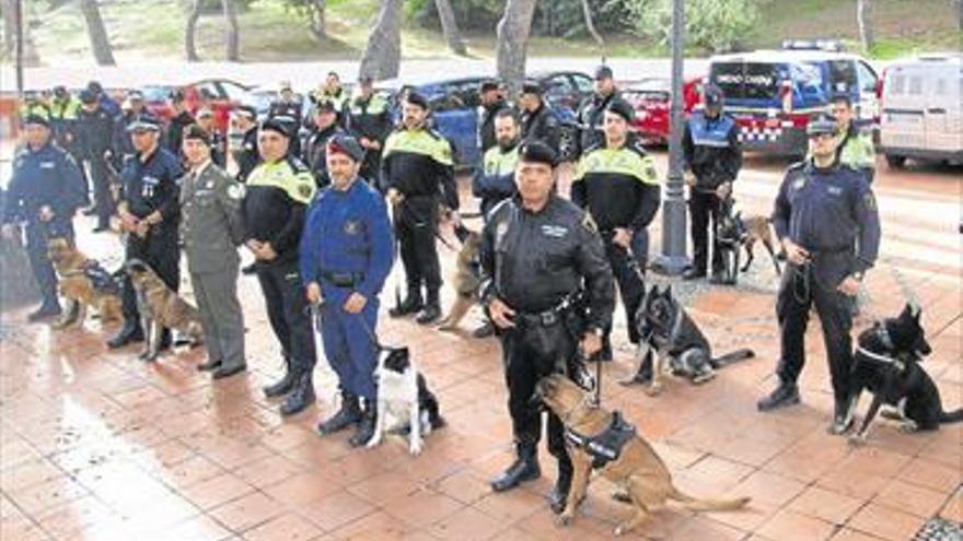 37 agentes se forman en las unidades caninas