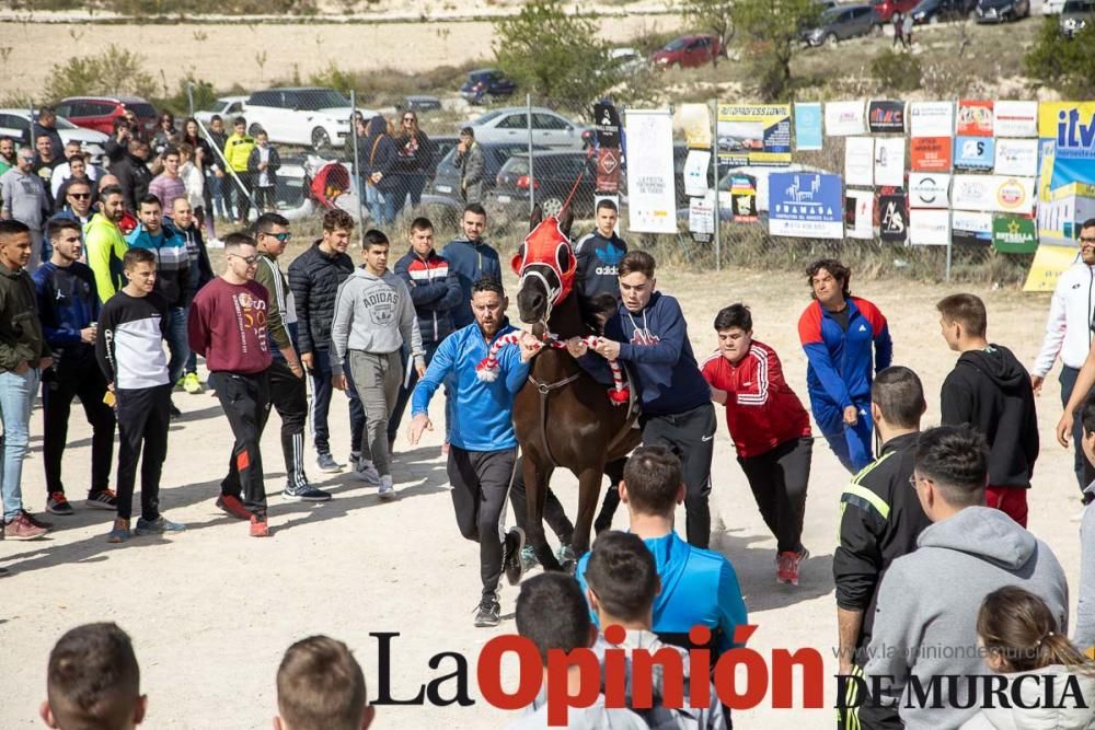 Carrera de entrenamiento de los Caballos del Vino