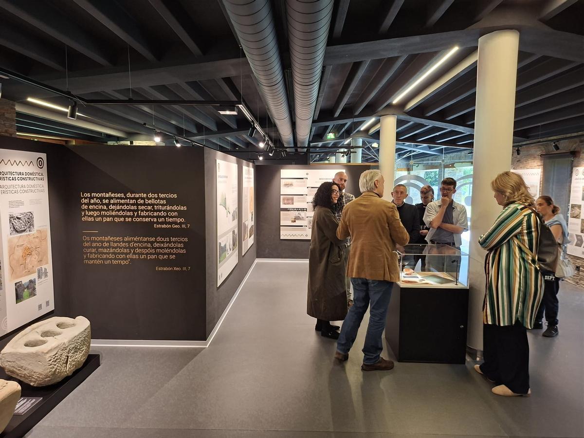 En imágenes: El aula didáctica del castro de Coaña se renueva con contenidos más actuales y piezas inéditas En imágenes: El aula didáctica del castro de Coaña se renueva con contenidos más actuales y piezas inéditas