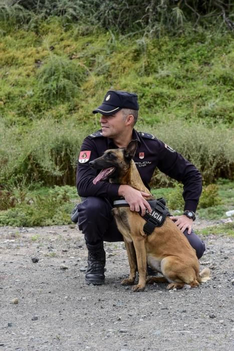 Reportaje a la Unidad Canina de la Policia ...