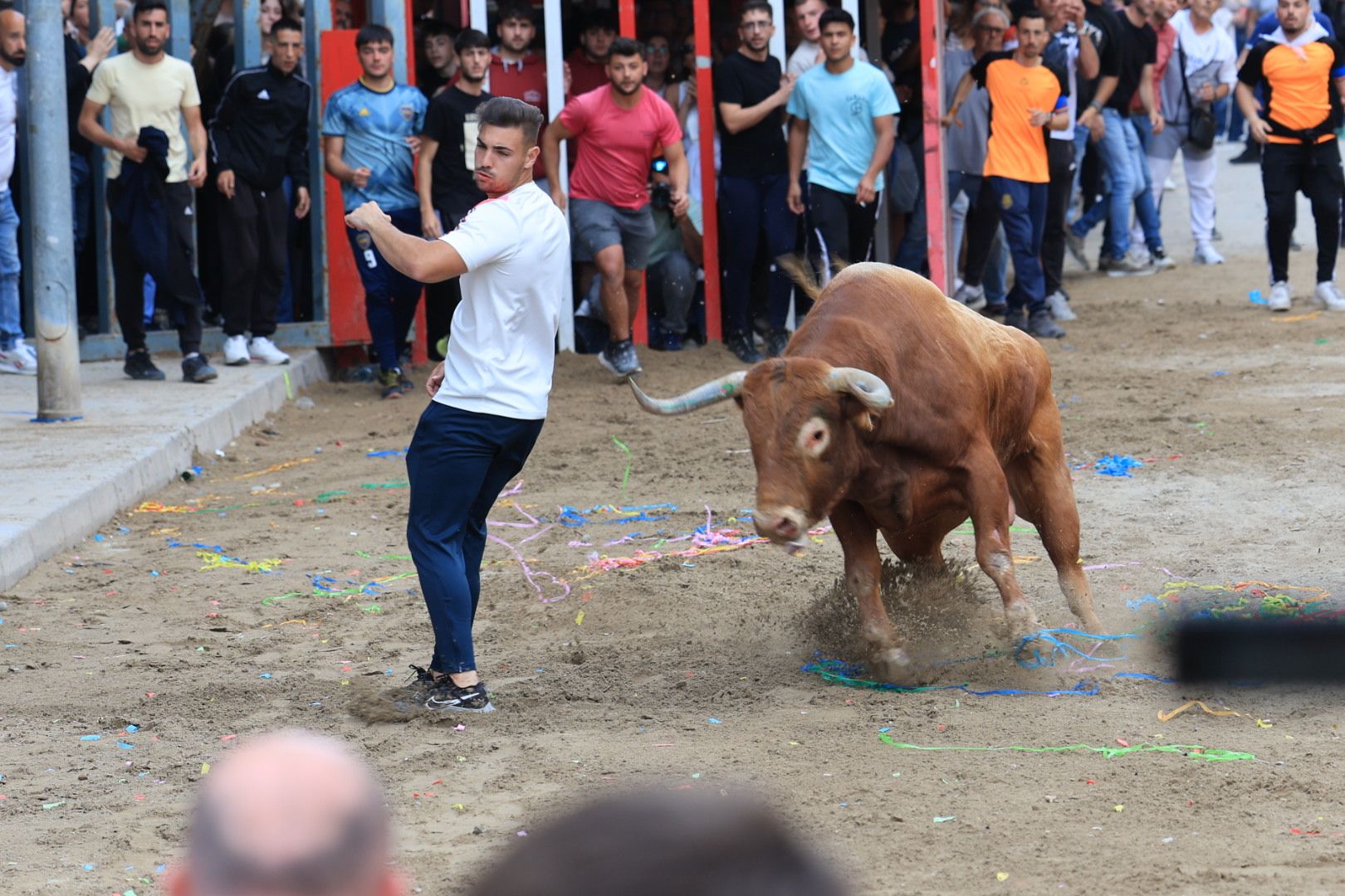 Fotos de la tarde taurina del jueves de las fiestas de Sant Pasqual en Vila-real