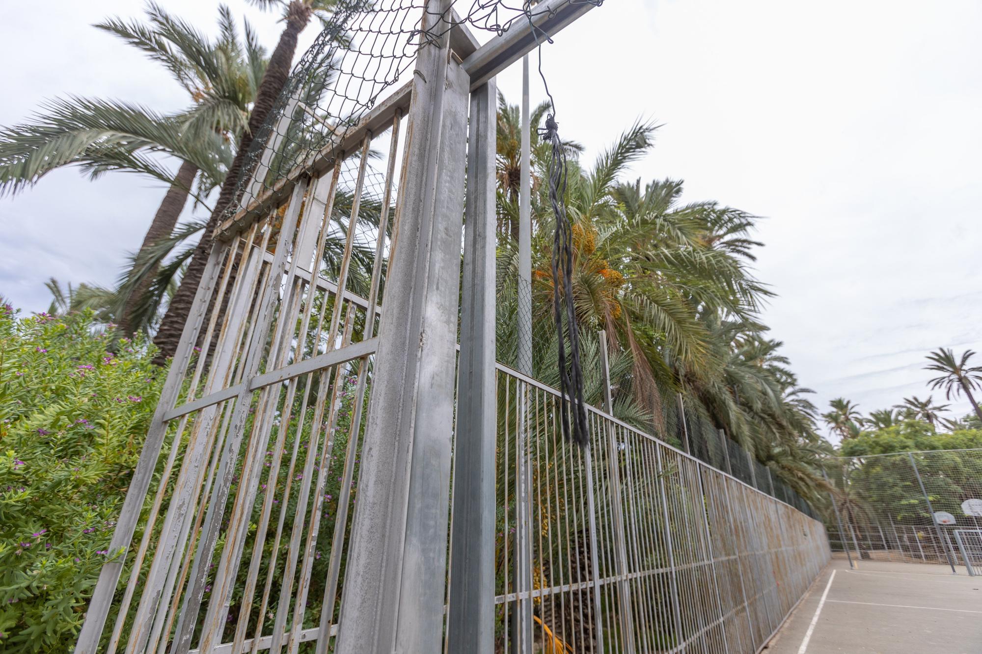 El abandono del Parque El Palmeral de Alicante