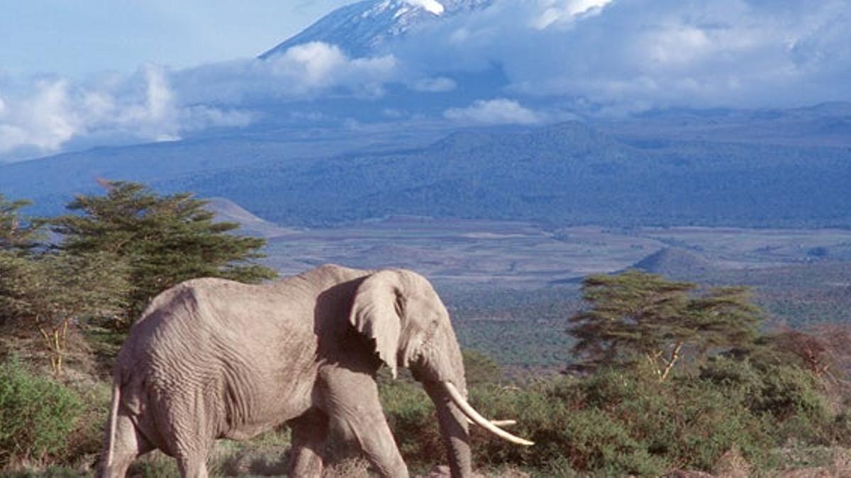 Los 28 sitios finalistas para ser las 7 Maravillas de la Naturaleza